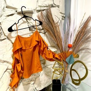 Off shoulder styled Copper Cloured blouse with loose laced up sleeves